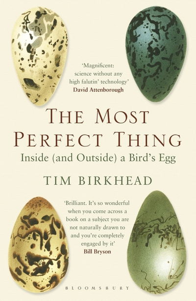 Cover for Tim Birkhead · The Most Perfect Thing: Inside (and Outside) a Bird’s Egg (Paperback Book) (2017)