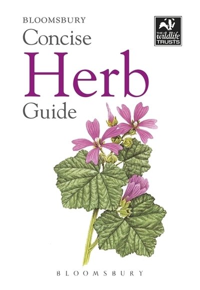 Concise Herb Guide - Concise Guides - Bloomsbury - Książki - Bloomsbury Publishing PLC - 9781472968272 - 11 stycznia 2019