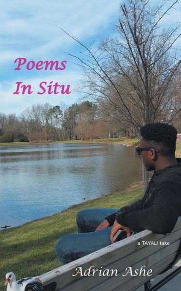 Cover for Adrian Ashe · Poems in Situ (Paperback Book) (2018)