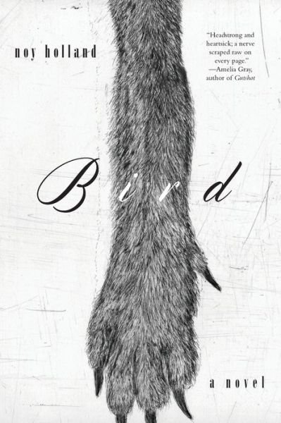 Cover for Noy Holland · Bird (Buch) (2016)