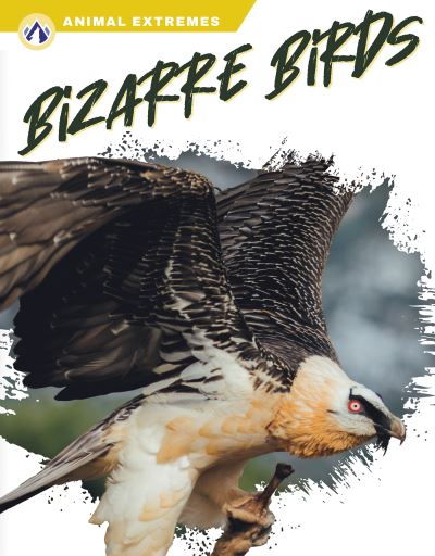 Cover for Libby Wilson · Bizarre Birds (Book) (2023)