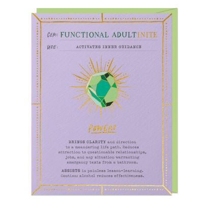 Cover for Em &amp; Friends · 6-Pack Em &amp; Friends Functional Adult Fantasy Stone Cards (MISC) (2021)