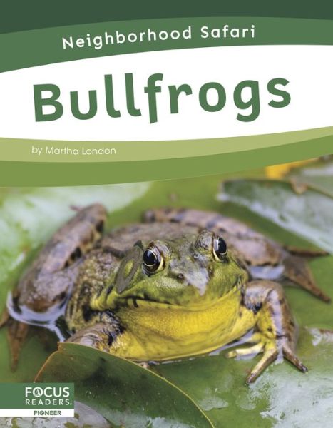 Cover for Martha London · Bullfrogs - Neighborhood Safari (Paperback Book) (2020)