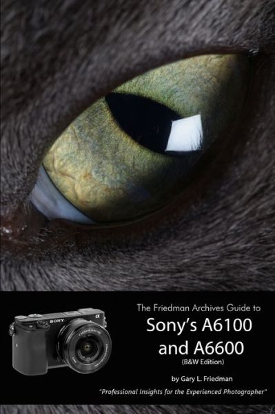 Cover for Gary L. Friedman · The Friedman Archives Guide to Sony's Alpha 6100 and 6600 (Paperback Book) [B&amp;w edition] (2020)