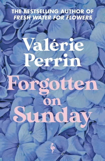 Cover for Valerie Perrin · Forgotten on Sunday: From the million copy bestselling author of Fresh Water for Flowers (Paperback Bog) (2024)