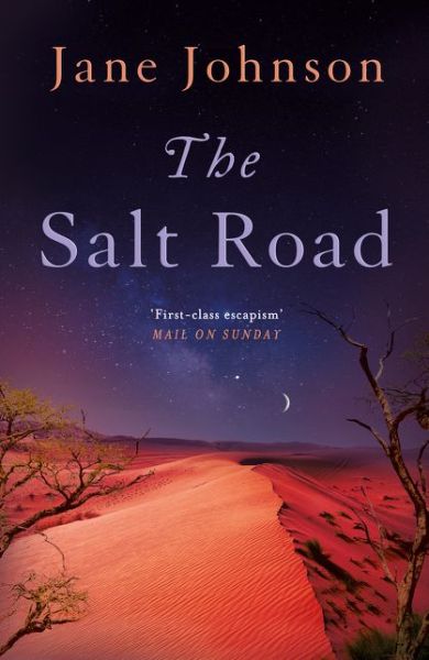 Cover for Jane Johnson · The Salt Road (Paperback Book) (2021)