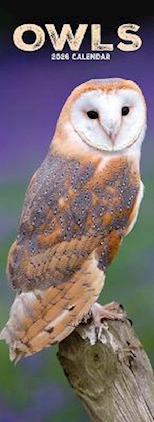 Cover for Owls Slim Calendar 2026  Bird Slimline Calendar - 12 Month (Calendar) (2025)