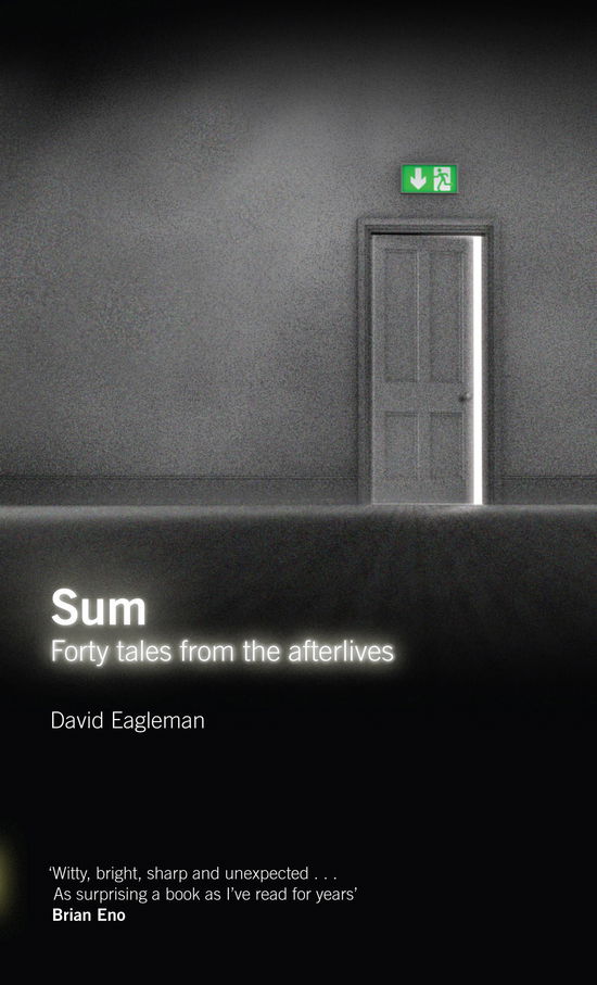 Sum: Forty Tales from the Afterlives - David Eagleman - Böcker - Canongate Books - 9781847674272 - 24 april 2009