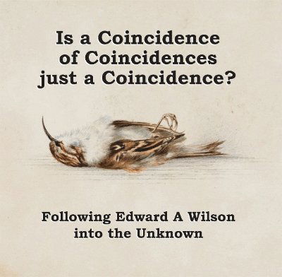 Cover for John Flux · Is a Coincidence of Coincidences just a Coincidence? Following Edward A Wilson into the Unknown: Deluxe Edition - Historic (Gebundenes Buch) (2024)