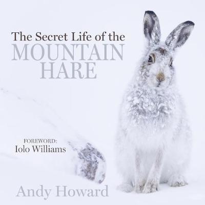 Cover for Andy Howard · The Secret Life of the Mountain Hare (Hardcover Book) (2018)