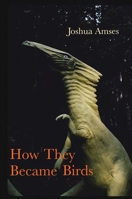 Cover for Joshua Amses · How They Became Birds (Paperback Book) (2022)