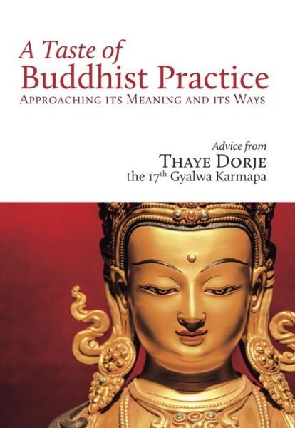 Cover for His Holiness the 17th Karmapa Thaye Dorje · A Taste of Buddhist Practice: Approaching its Meaning and Its Ways (Paperback Book) (2020)