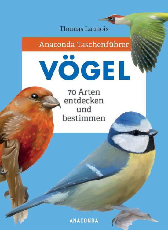 Cover for Launois · Anaconda Taschenführer Vögel (Book)