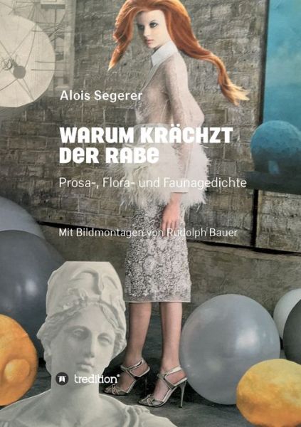 Cover for Segerer · Warum krächzt der Rabe (Book) (2020)