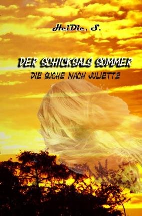 Cover for S. · Der Schicksals Sommer (Book)