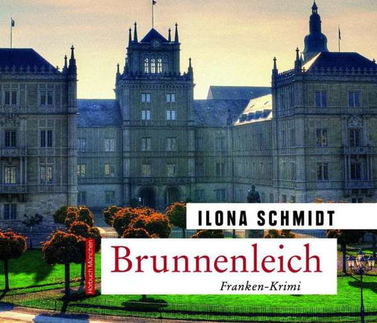 Cover for Schmidt · Schmidt:brunnenleich,cd (CD)