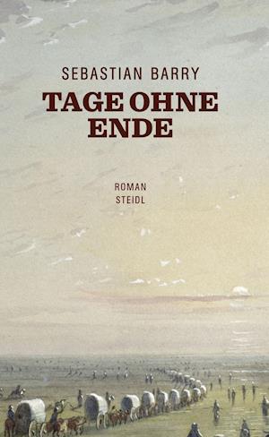 Cover for Barry · Tage ohne Ende (Book)