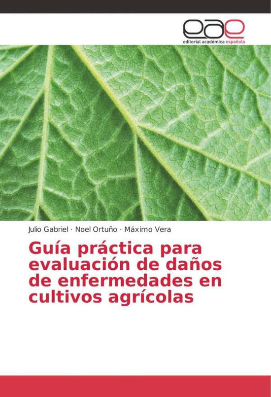 Cover for Gabriel · Guía práctica para evaluación d (Book)