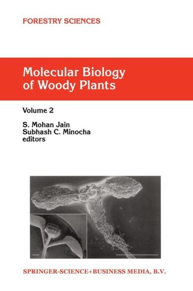 Cover for S M Jain · Molecular Biology of Woody Plants: Volume 2 - Forestry Sciences (Paperback Book) [Softcover reprint of the original 1st ed. 2000 edition] (2011)