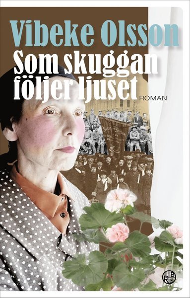 Cover for Vibeke Olsson · Bricken: Som skuggan följer ljuset (Gebundesens Buch) (2020)