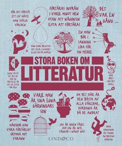 Cover for James Graham · Stora boken om litteratur (Map) (2016)