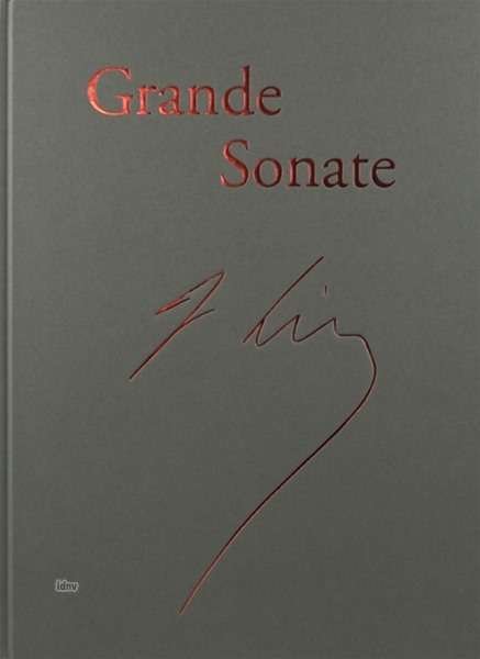Cover for Liszt · Klaviersonate h-moll (Book)