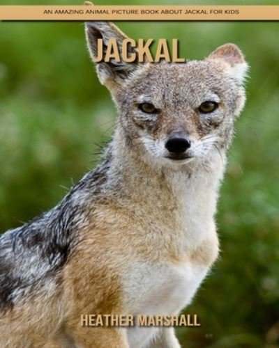 Cover for Heather Marshall · Jackal: An Amazing Animal Picture Book about Jackal for Kids (Paperback Book) (2021)