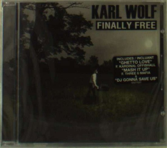 Finally Free - Karl Wolf - Musiikki - DEF JAM - 0602527752273 - tiistai 3. heinäkuuta 2012