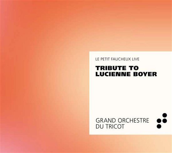 Tribute To Lucienne Boyer - Grand Orchestre Du Tricot - Music - B RECORDS - 3770005527273 - May 8, 2020