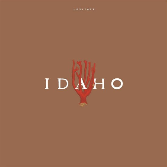 Cover for Idaho · Levitate (LP) [Limited, Reissue edition] (2020)