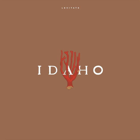 Cover for Idaho · Levitate (LP) [Limited, Reissue edition] (2020)