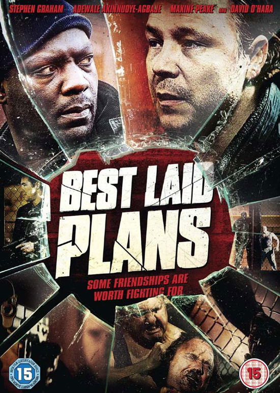 Cover for Best Laid Plans (DVD) (2013)