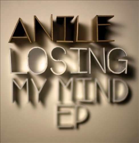 Cover for Anile · Losing My Mind EP (12&quot;) [EP edition] (2014)