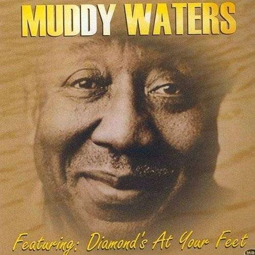 Cover for Muddy Waters (CD) (2014)