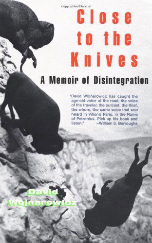 Cover for David Wojnarowicz · Close to the Knives: a Memoir of Disintegration (Paperback Book) [First edition] (1991)