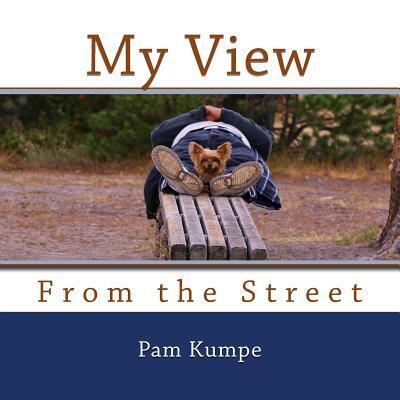 Cover for Pam Kumpe · My View from the Street (Paperback Book) (2016)