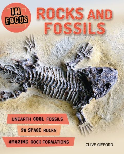 Cover for Chris Oxlade · In Focus: Rocks and Fossils - In Focus (Paperback Book) (2018)