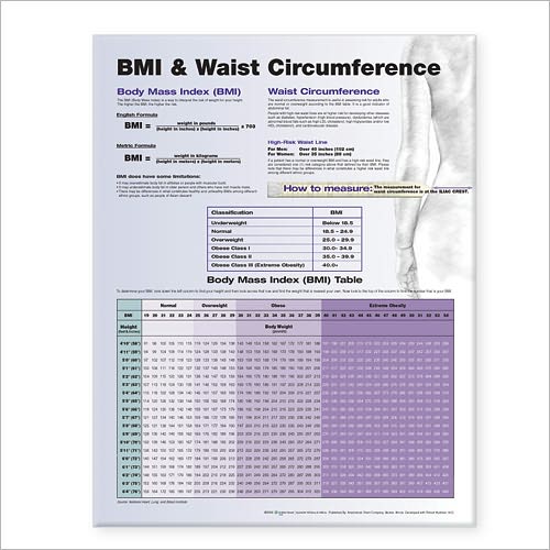 Cover for Acc · BMI and Waist Circumference (Landkarten) (2006)