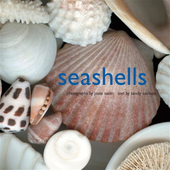 Cover for Josie Iselin · Seashells (Hardcover bog) (2007)