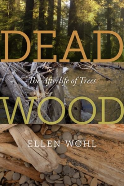 Cover for Ellen Wohl · Dead Wood: The Afterlife of Trees (Paperback Book) (2022)