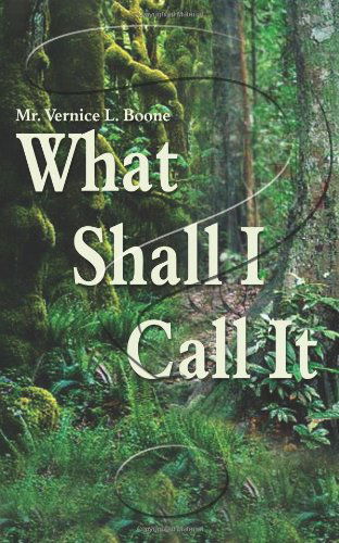 What Shall I Call It? - Mr. Vernice L. Boone - Books - AuthorHouse - 9781403396273 - February 3, 2003