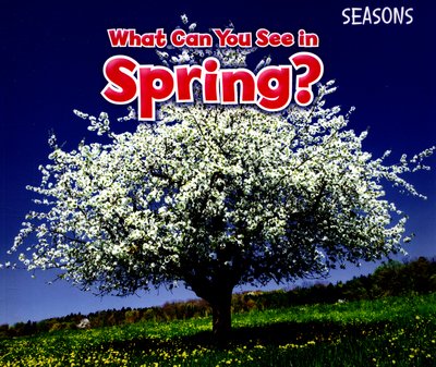 Cover for Sian Smith · What Can You See In Spring? - Seasons (Paperback Book) (2015)