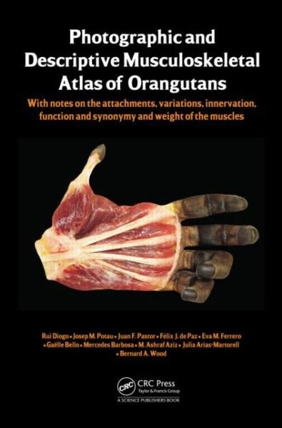 Cover for Rui Diogo · Photographic and Descriptive Musculoskeletal Atlas of Orangutans: with notes on the attachments, variations, innervations, function and synonymy and weight of the muscles (Innbunden bok) (2013)