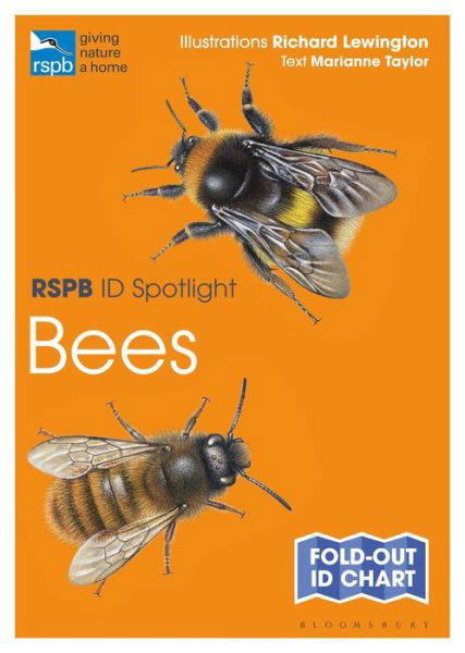 Cover for Marianne Taylor · RSPB ID Spotlight - Bees - RSPB (Map) (2020)