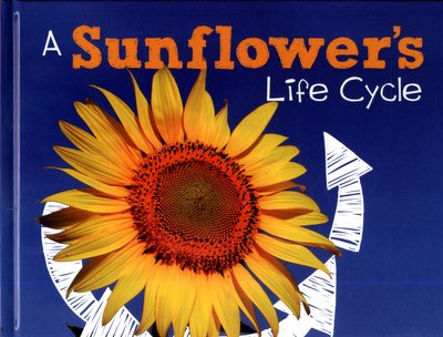 Mary R. Dunn · A Sunflower's Life Cycle - Explore Life Cycles (Inbunden Bok) (2017)