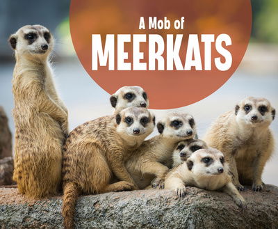 Cover for Martha E. H. Rustad · A Mob of Meerkats - Animal Groups (Gebundenes Buch) (2020)