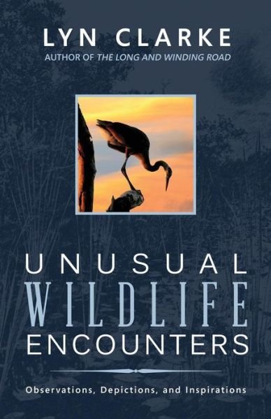 Cover for Lyn Clarke · Unusual Wildlife Encounters: Observations, Depictions, and Inspirations (Pocketbok) (2013)
