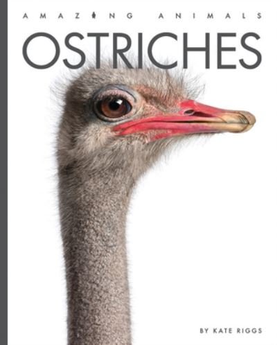 Cover for Kate Riggs · Ostriches (Bok) (2023)