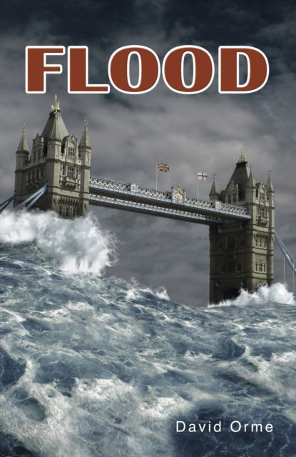 Cover for David Orme · Flood - Shades 2.0 (Paperback Book) (2014)