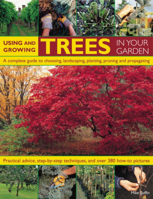 Using and Growing Trees in Your Garden - Michael W. Buffin - Books - Anness Publishing - 9781844764273 - November 6, 2007
